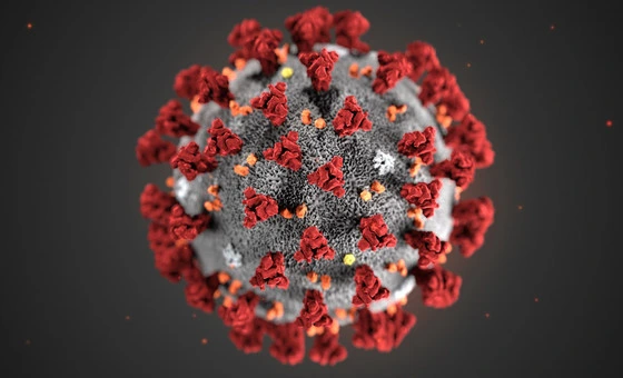 KVaccine